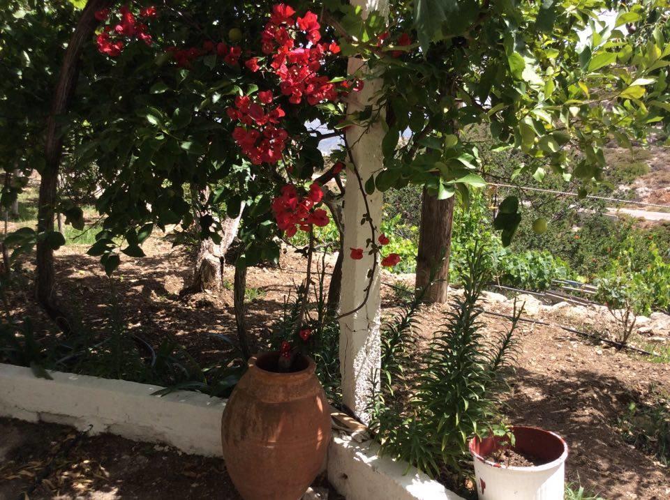 La Villa Di Zazopetra Menetaí Exteriér fotografie