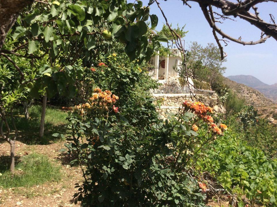 La Villa Di Zazopetra Menetaí Exteriér fotografie