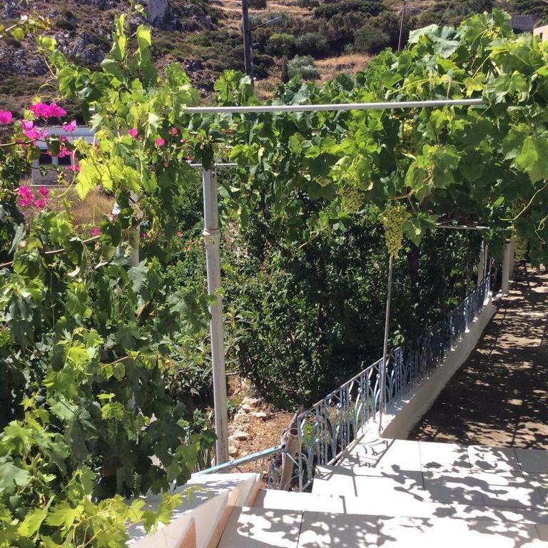 La Villa Di Zazopetra Menetaí Exteriér fotografie
