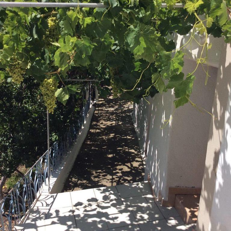 La Villa Di Zazopetra Menetaí Exteriér fotografie