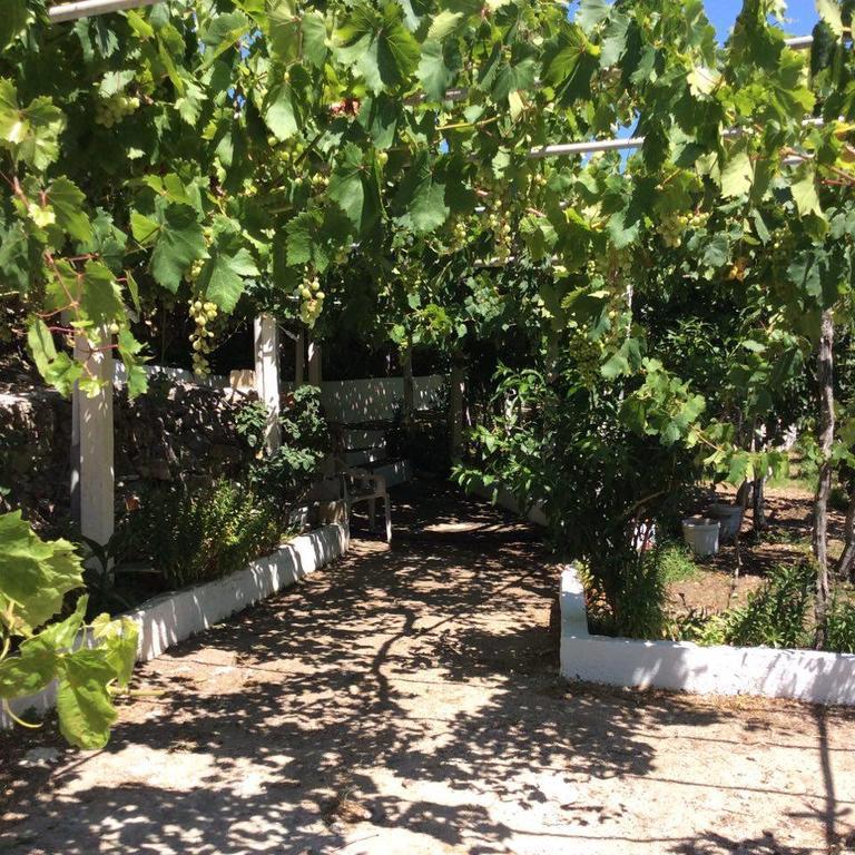 La Villa Di Zazopetra Menetaí Exteriér fotografie
